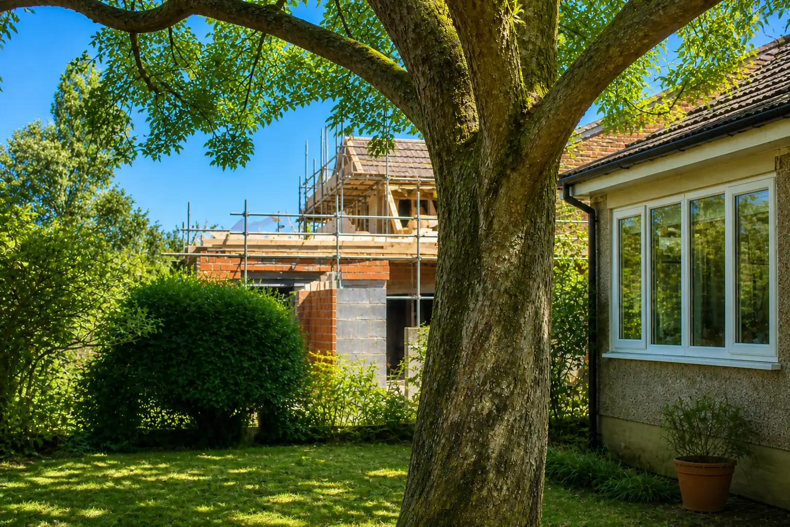 A garden tree beside a neighbouring extension under construction